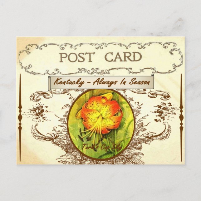 Carte postale vintage Kentucky State Flower (Devant)
