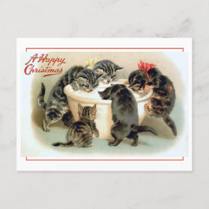 Carte Postale Vintage Kitten Fun