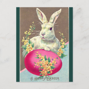 Carte Postale Vintage Lapin De Pâques Blanc Avec Oeuf Rose Lumin