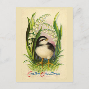 Carte postale Vintage Little Easter Bird