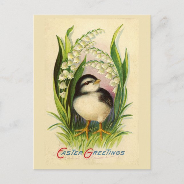 Carte postale Vintage Little Easter Bird (Devant)
