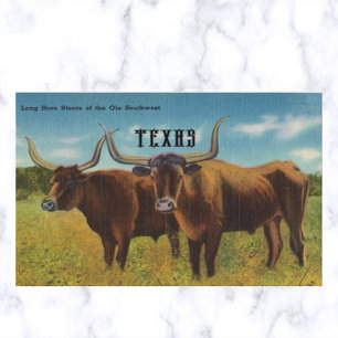 Carte Postale Vintage Long Horn Steers San Antonio Texas