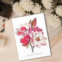 Vintage Magnolia rose Fleurs blanches
