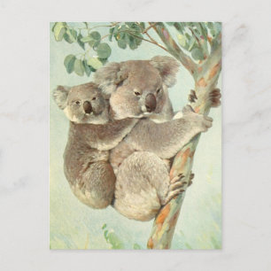 Carte postale Vintage Maman et Baby Koala