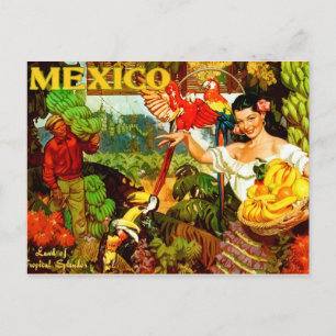 Carte Postale Vintage Mexique Terre De Voyage Tropical Splendor