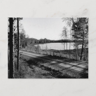 Carte Postale Vintage Mink Lake Ottawa National Forest, Michigan