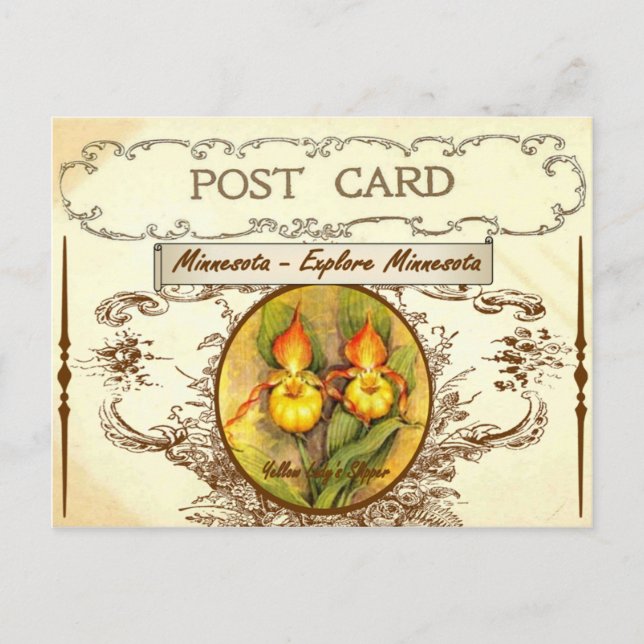 Carte postale vintage Minnesota State Flower (Devant)