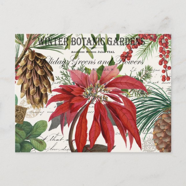 Carte postale vintage moderne du jardin d'hiver (Devant)