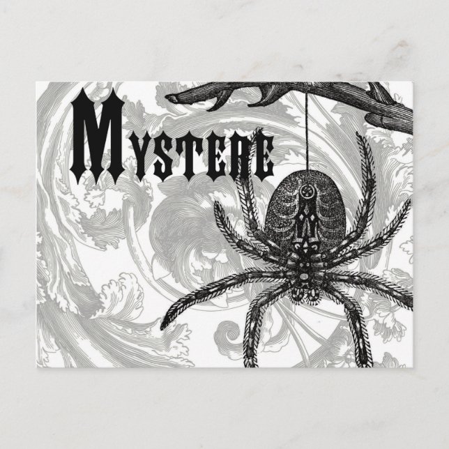 Carte Postale vintage moderne halloween tarantula (Devant)