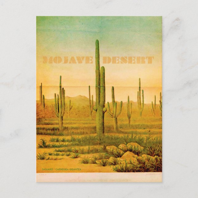 Carte postale vintage Mojave Desert Travel (Devant)