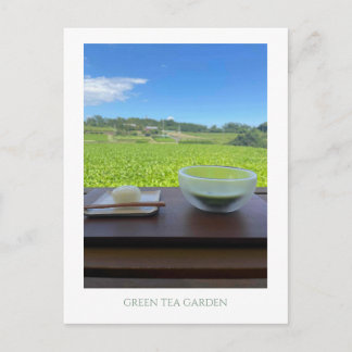 Carte Postale Vintage Mt Fuji Japan Green Tea Postcard