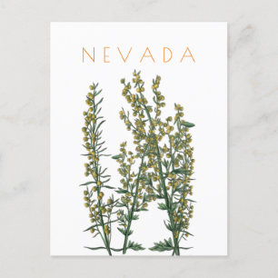 Carte Postale Vintage Nevada état fleurs Voyage du milieu du siè