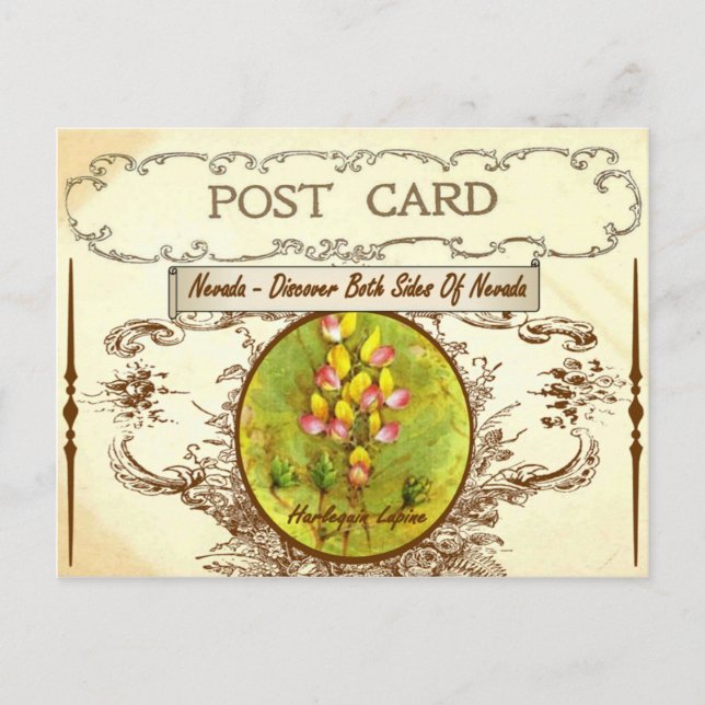 Carte postale vintage Nevada State Flower (Devant)