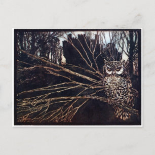 Carte Postale Vintage Night Owl Rackham