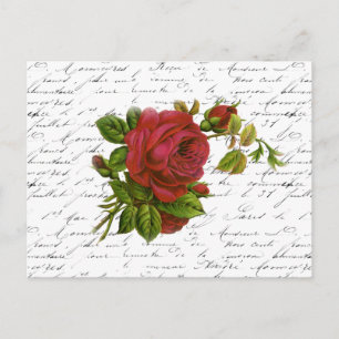 Carte Postale Vintage Noir Blanc Français Typographie Rouge Rose