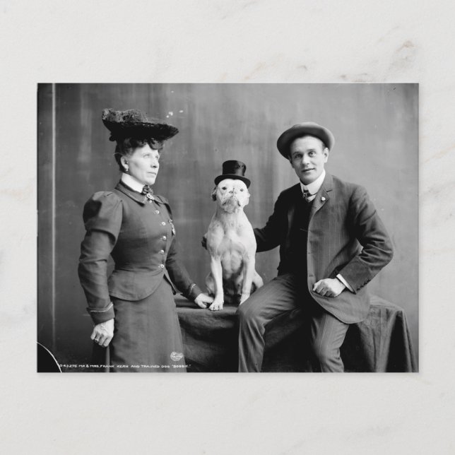 Carte Postale Vintage noir et blanc photo Chien portant Casquett (Devant)