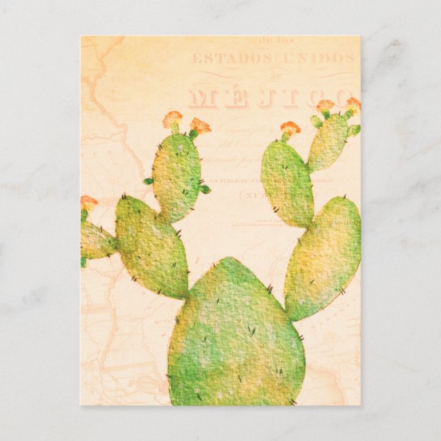 Carte Postale vintage Nopal Cactus Aquarelle (Devant)