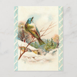 Carte Postale Vintage oiseau bleu hiver