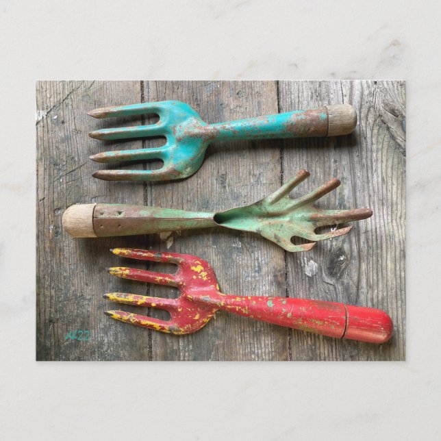 Carte postale vintage outil jardin par Diane Helle (Devant)
