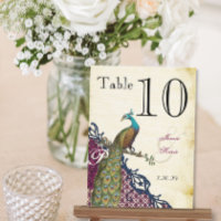 Vintage Peacock Marine Raspberry Damas Numéro du t