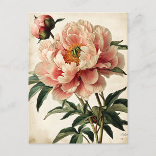 Carte Postale Vintage Peonies