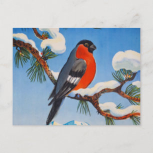 Carte Postale Vintage Pontresina Vacances Swiss Air Suisse