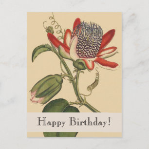 Carte postale vintage pour les botaniques