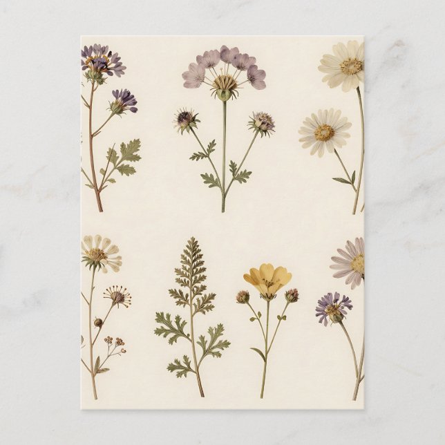 Carte Postale Vintage Pressed Wildflower Botanical Pattern (Devant)
