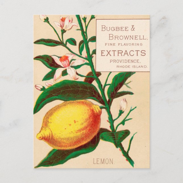 Carte Postale Vintage : publicité alimentaire - (Devant)