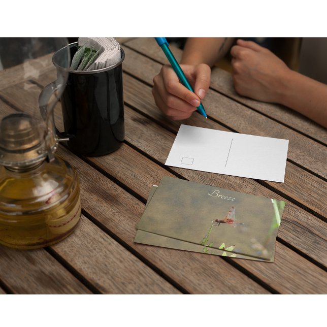 Carte Postale Vintage Red Dragonfly Note Botanique Personnalisée (Créateur téléchargé)