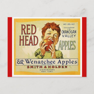 Carte postale vintage Red Head Washington Apples