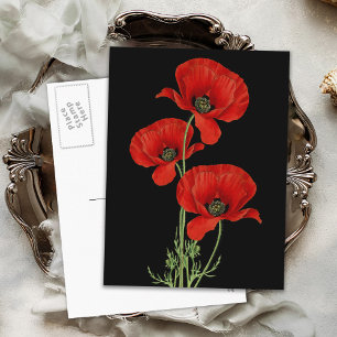 Carte Postale Vintage Red Poppies Botanique