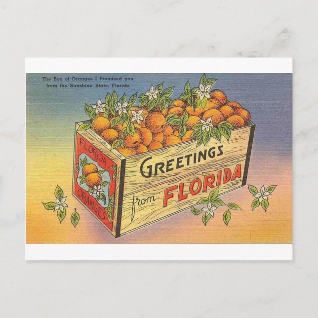 Carte Postale Vintage Retro de Floride (Devant)