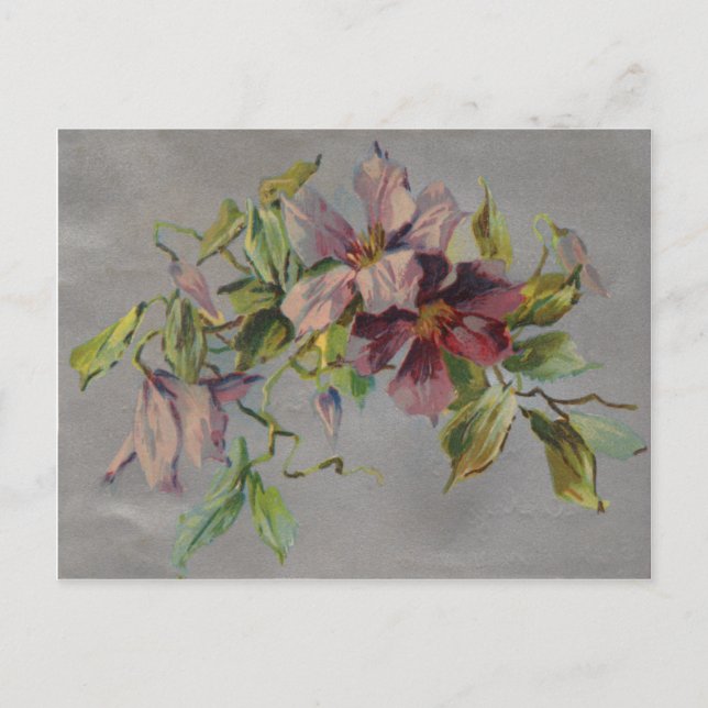 Carte postale vintage rétro iris violet (Devant)