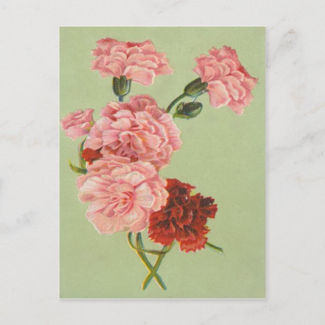 Carte postale vintage Retro Roses (Devant)