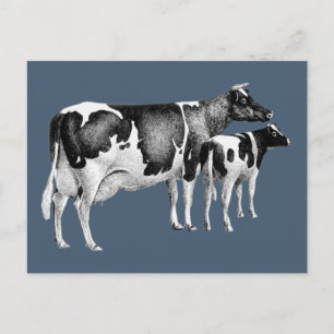 Carte Postale Vintage Russe ferme Vache de veau dessin bleu blan