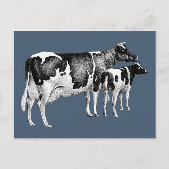 Carte Postale Vintage Russe ferme Vache de veau dessin bleu blan (Devant)