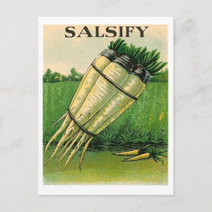 Carte Postale vintage salsify seed packet postcard