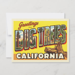 Carte Postale Vintage "Salutations de Big Trees, Californie"