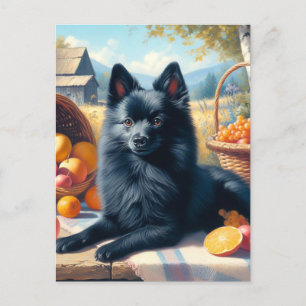 Carte Postale Vintage Schipperke Peinture de chiot