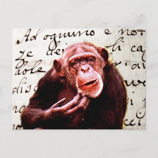 Carte Postale vintage scripts funny Chimpanzee (Devant)