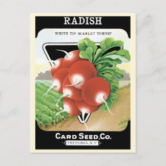 Carte Postale Vintage Seed Packet Étiquette Art, Radis Scarlet