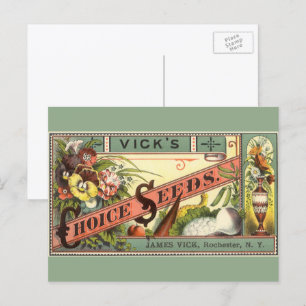 Carte Postale Vintage Seed Packet Étiquette Art, Vick's Choice S