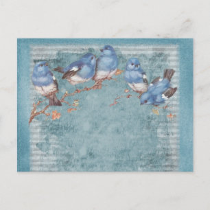 Carte Postale Vintage Shabby Chic Joli Oiseaux Floraux