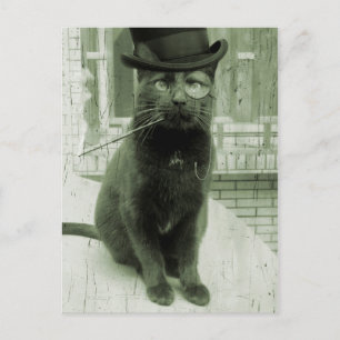 Carte postale vintage Steampunk LOL Funny Cat