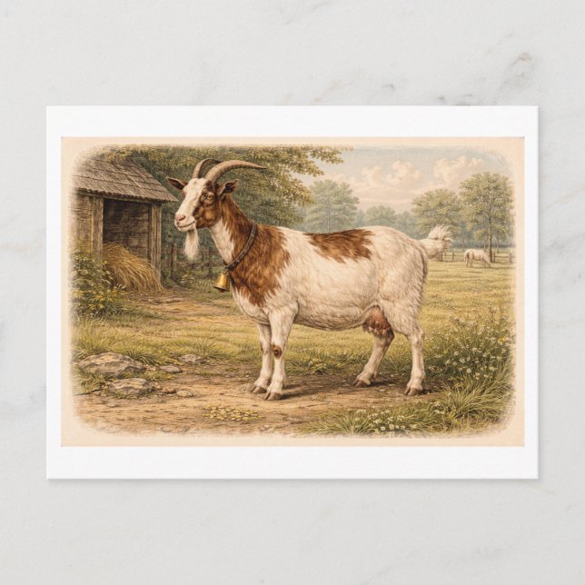 Carte Postale Vintage-Style Goat lllustration (Devant)