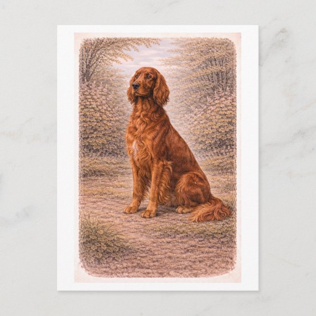 Carte Postale Vintage-Style Irish Setter (Devant)