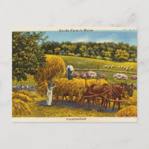 Carte Postale Vintage, Sur la ferme dans le Maine, Vacationland