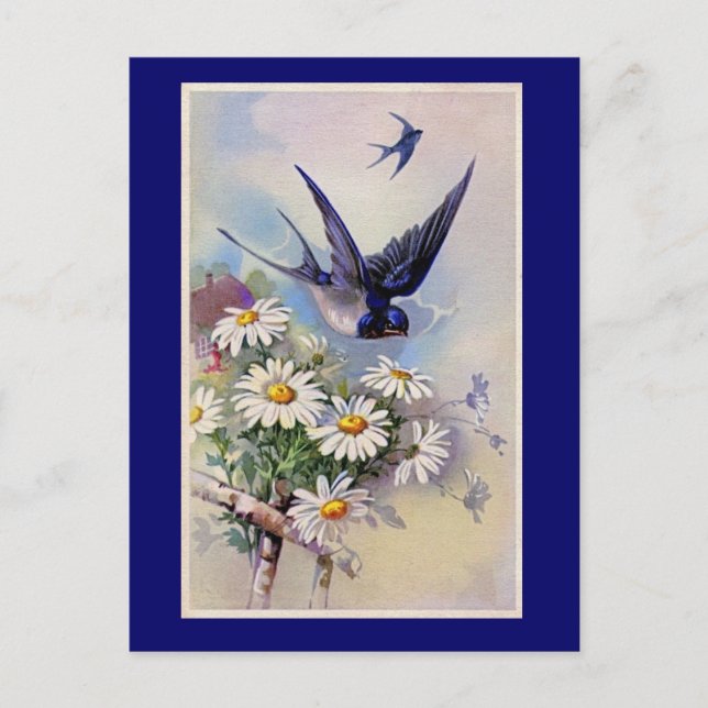 Carte postale vintage Swallow (Devant)