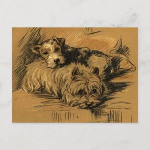 Carte Postale Vintage Terrier et Westie